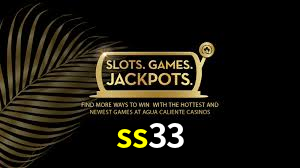 ss33
